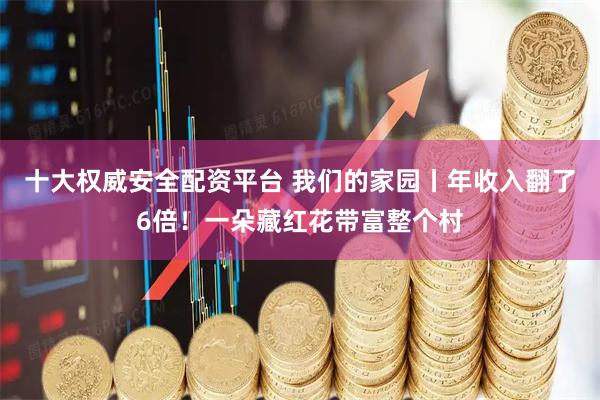 十大权威安全配资平台 我们的家园丨年收入翻了6倍！一朵藏红花带富整个村