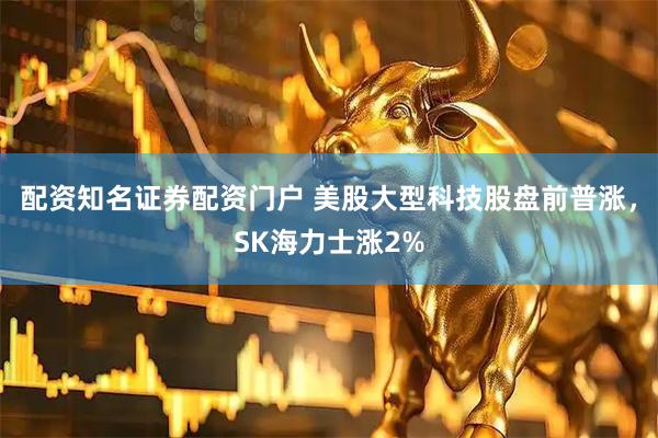 配资知名证券配资门户 美股大型科技股盘前普涨，SK海力士涨2%